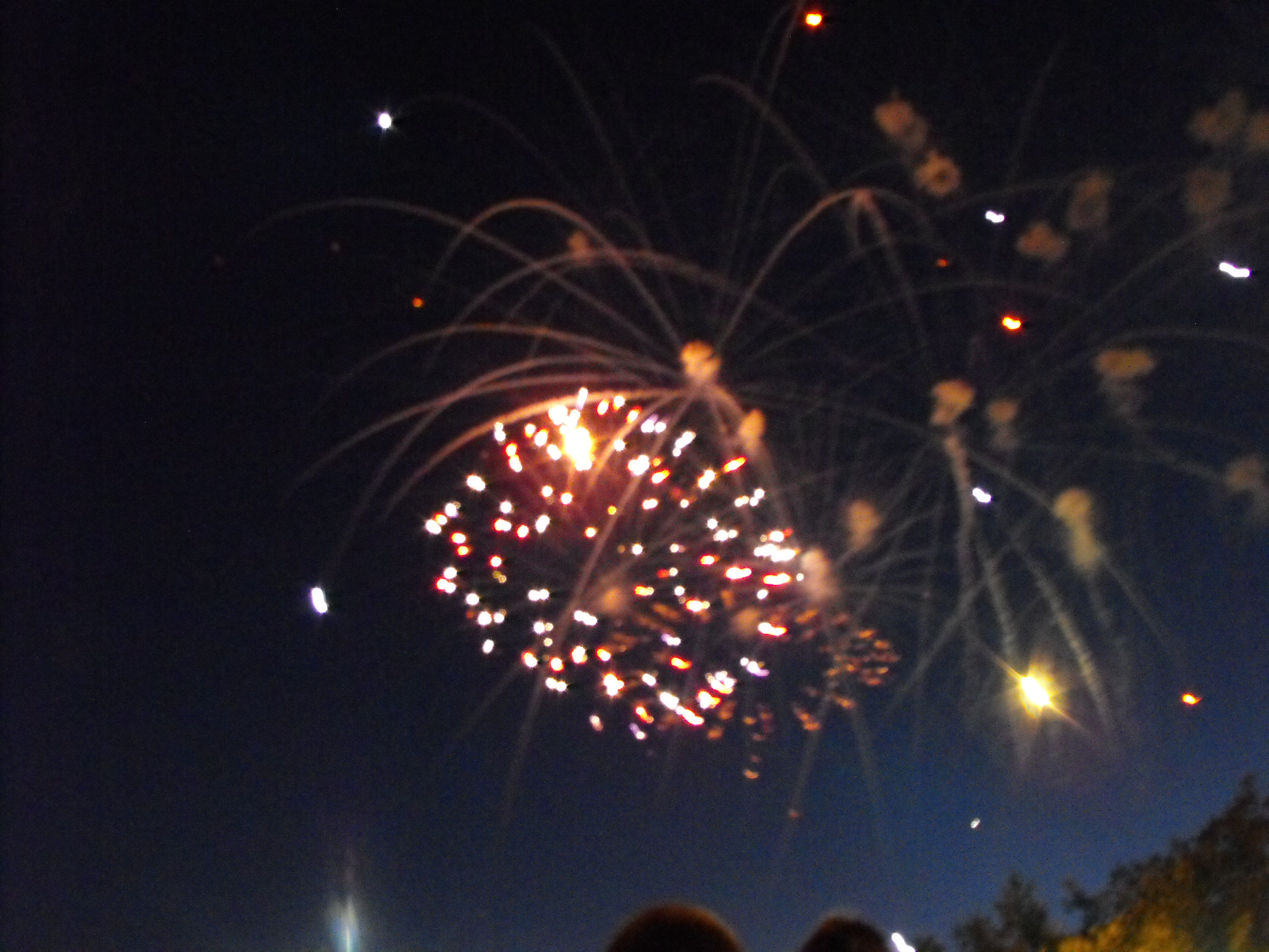 ./2010/Fourth of July/4th July Fireworks Wilm 0013.JPG
